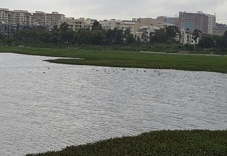 Channappannahalli Lake soon-to-be rejuvenated by Mitsubishi Electric India