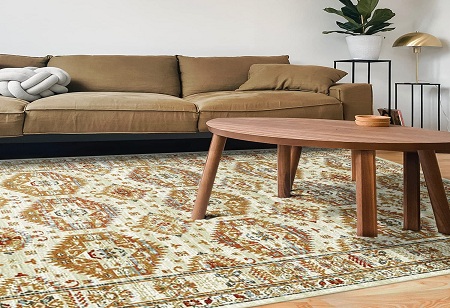 Despite Changing Home Decor Trends, Sapana Mats is Optimistic about the humble Plastic Carpet